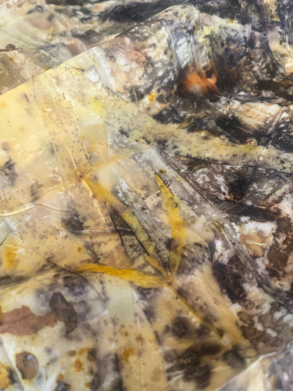 Close-up of a botanical print in warm rust, charcoal and eucalyptus tones